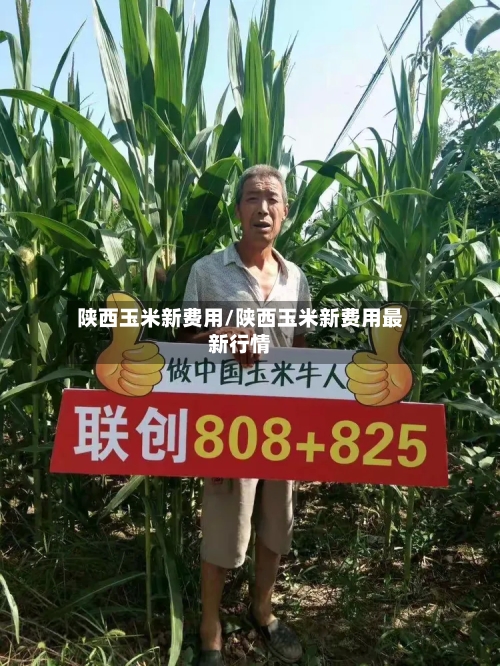 陕西玉米新费用/陕西玉米新费用最新行情