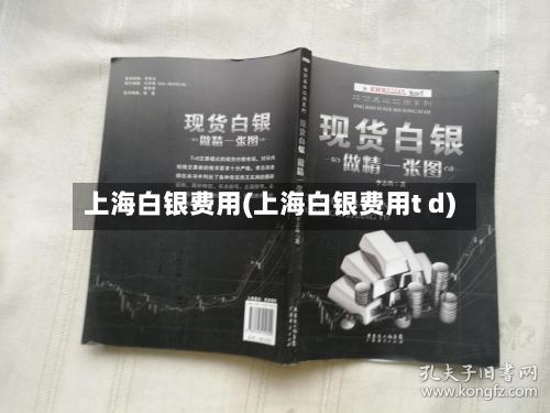 上海白银费用(上海白银费用t d)