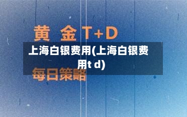 上海白银费用(上海白银费用t d)-第2张图片