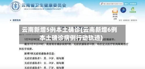 云南新增5例本土确诊(云南新增6例本土确诊病例行动轨迹)-第3张图片