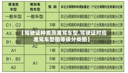 【驾驶证种类及准驾车型,驾驶证对应准驾车型图等级分类图】