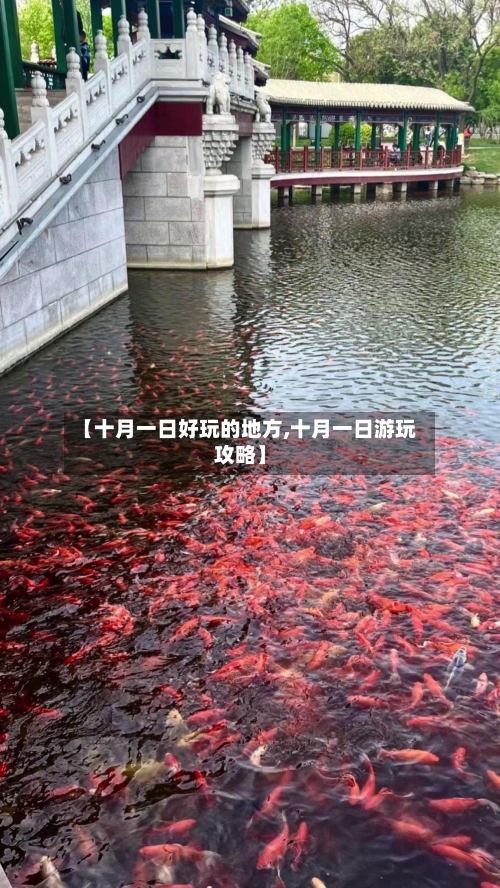 【十月一日好玩的地方,十月一日游玩攻略】