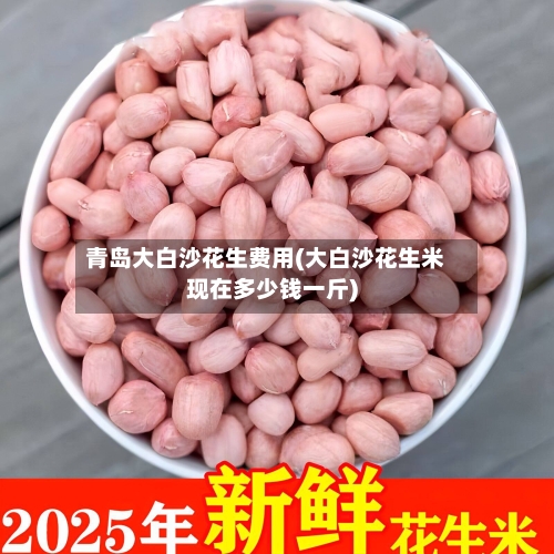 青岛大白沙花生费用(大白沙花生米现在多少钱一斤)-第3张图片