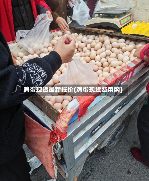 鸡蛋现货最新报价(鸡蛋现货费用网)