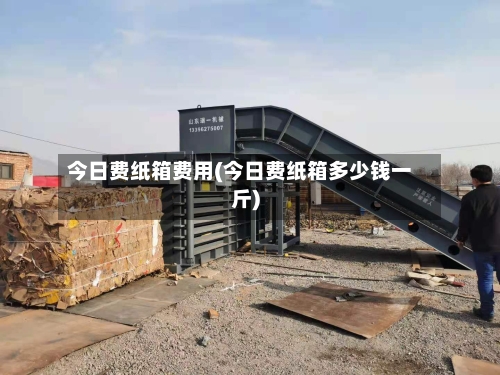 今日费纸箱费用(今日费纸箱多少钱一斤)