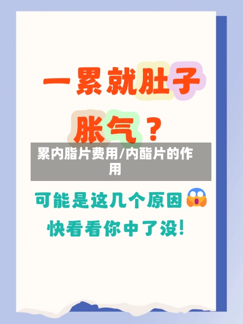 累内脂片费用/内酯片的作用-第3张图片