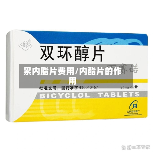 累内脂片费用/内酯片的作用