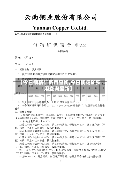 【今日铜精矿费用查询,今日铜精矿费用查询最新】-第2张图片