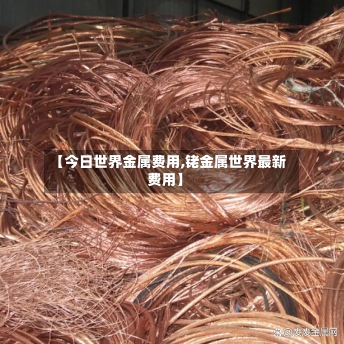 【今日世界金属费用,铑金属世界最新费用】