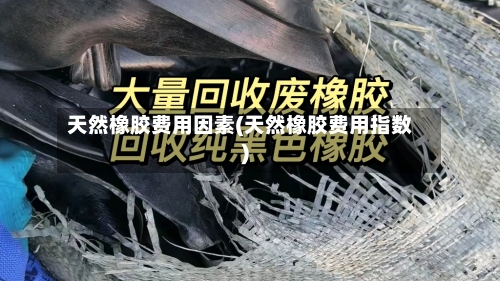 天然橡胶费用因素(天然橡胶费用指数)