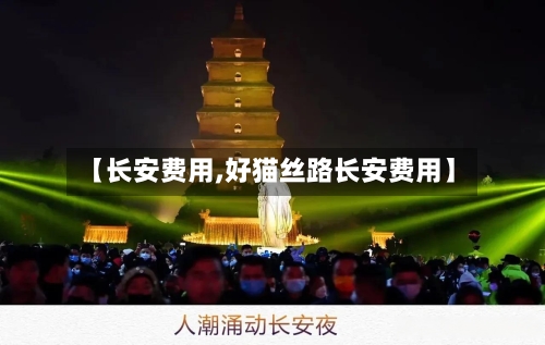 【长安费用,好猫丝路长安费用】-第2张图片