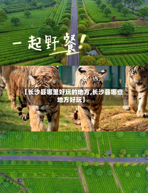 【长沙县哪里好玩的地方,长沙县哪些地方好玩】-第3张图片