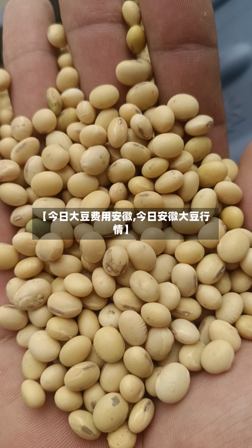 【今日大豆费用安徽,今日安徽大豆行情】-第2张图片