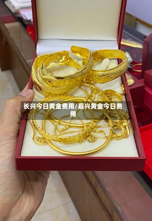 长兴今日黄金费用/嘉兴黄金今日费用-第2张图片