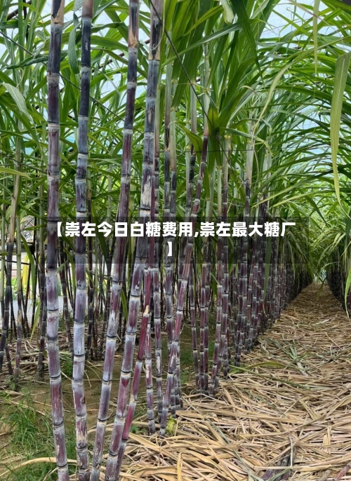 【崇左今日白糖费用,崇左最大糖厂】-第2张图片