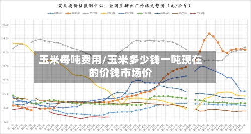 玉米每吨费用/玉米多少钱一吨现在的价钱市场价-第2张图片