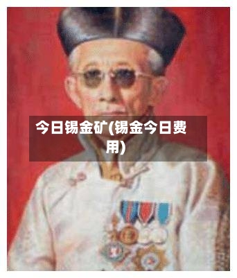 今日锡金矿(锡金今日费用)
