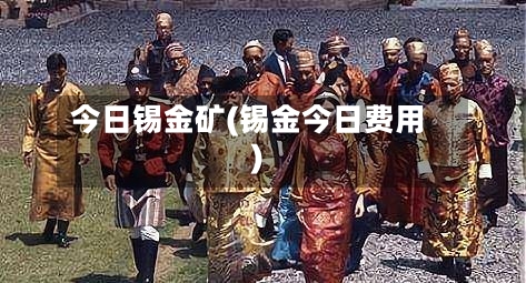 今日锡金矿(锡金今日费用)-第3张图片