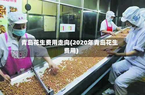 青岛花生费用走向(2020年青岛花生费用)
