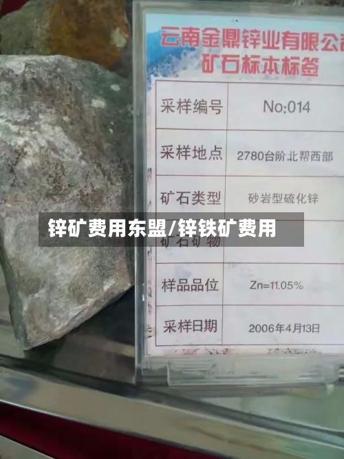 锌矿费用东盟/锌铁矿费用-第2张图片