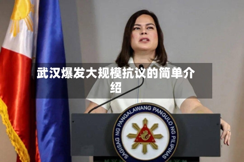 武汉爆发大规模抗议的简单介绍