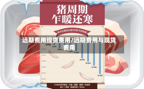 远期费用现货费用/远期费用与现货费用-第2张图片