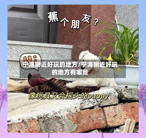宁海附近好玩的地方/宁海附近好玩的地方有哪些-第3张图片