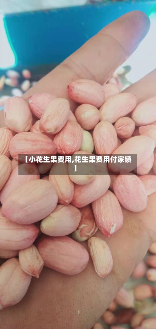 【小花生果费用,花生果费用付家镇】