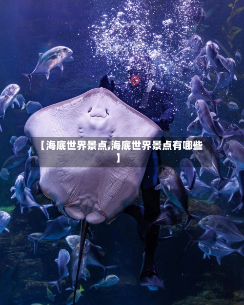 【海底世界景点,海底世界景点有哪些】
