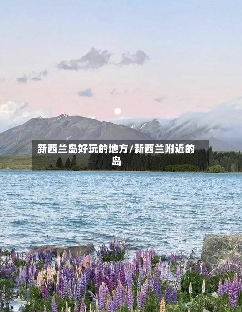 新西兰岛好玩的地方/新西兰附近的岛-第3张图片