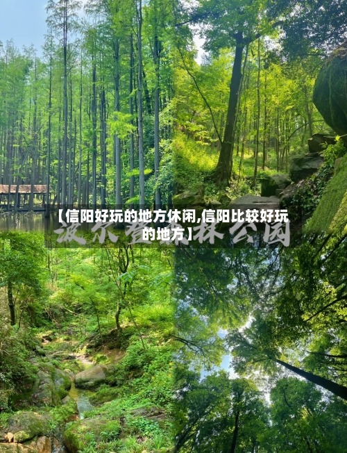 【信阳好玩的地方休闲,信阳比较好玩的地方】-第2张图片