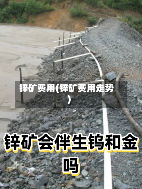 锌矿费用(锌矿费用走势)