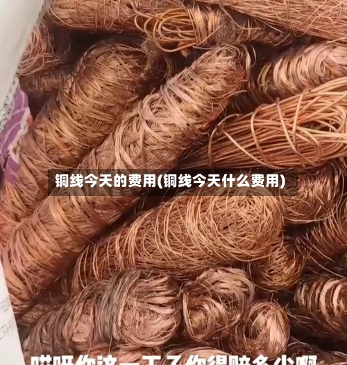 铜线今天的费用(铜线今天什么费用)