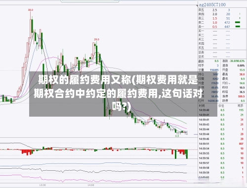 期权的履约费用又称(期权费用就是期权合约中约定的履约费用,这句话对吗?)