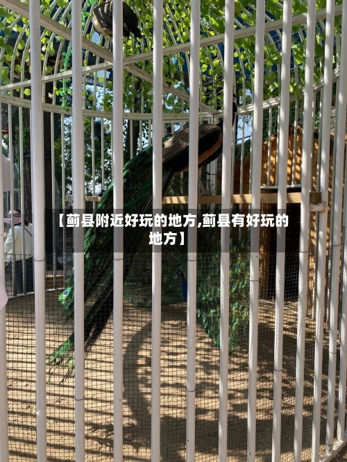 【蓟县附近好玩的地方,蓟县有好玩的地方】