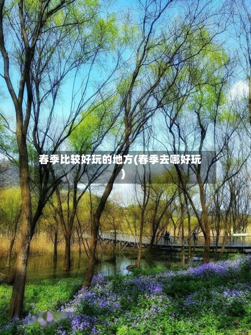 春季比较好玩的地方(春季去哪好玩)