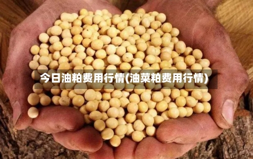 今日油粕费用行情(油菜粕费用行情)