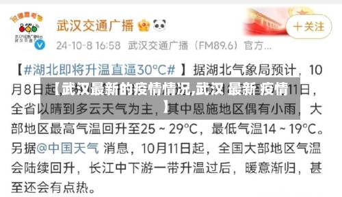 【武汉最新的疫情情况,武汉 最新 疫情】-第2张图片
