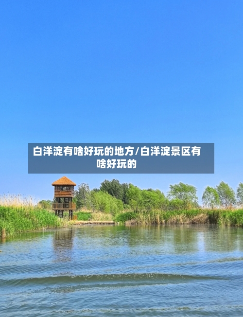白洋淀有啥好玩的地方/白洋淀景区有啥好玩的
