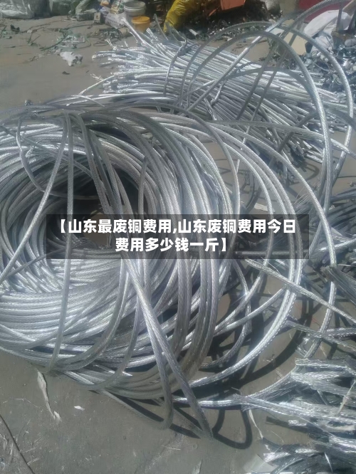 【山东最废铜费用,山东废铜费用今日费用多少钱一斤】-第2张图片