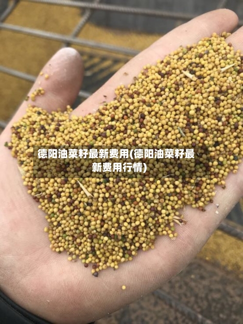 德阳油菜籽最新费用(德阳油菜籽最新费用行情)-第2张图片