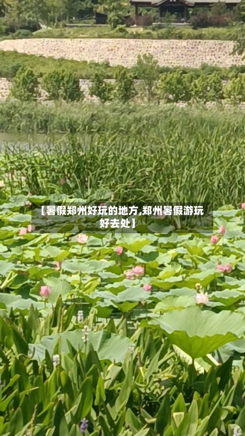 【暑假郑州好玩的地方,郑州暑假游玩好去处】