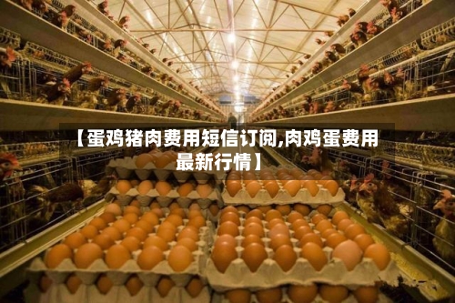 【蛋鸡猪肉费用短信订阅,肉鸡蛋费用最新行情】-第2张图片