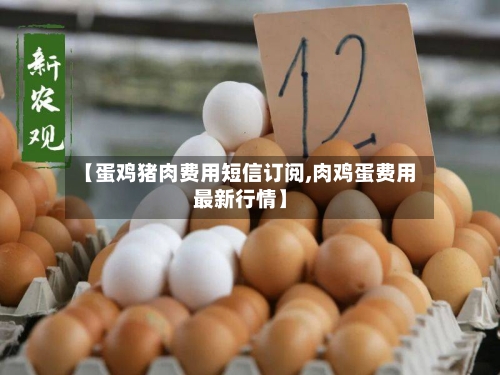 【蛋鸡猪肉费用短信订阅,肉鸡蛋费用最新行情】-第3张图片