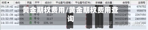 黄金期权费用/黄金期权费用查询-第2张图片