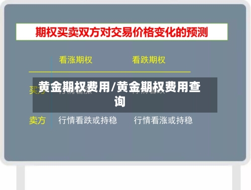 黄金期权费用/黄金期权费用查询