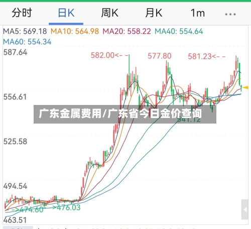 广东金属费用/广东省今日金价查询
