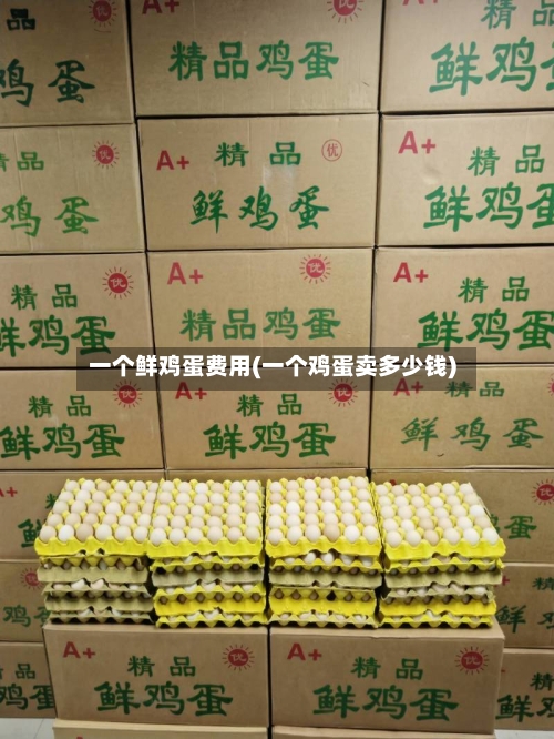 一个鲜鸡蛋费用(一个鸡蛋卖多少钱)
