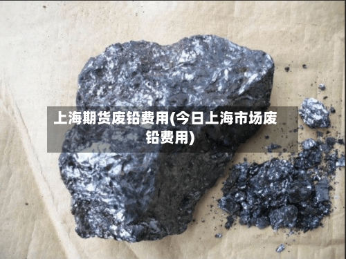 上海期货废铅费用(今日上海市场废铅费用)