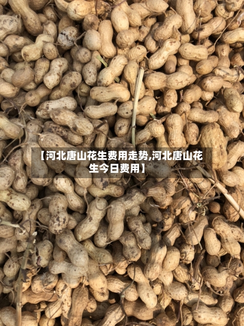 【河北唐山花生费用走势,河北唐山花生今日费用】